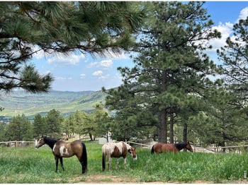1893 Colard Ln, Lyons, CO 80540