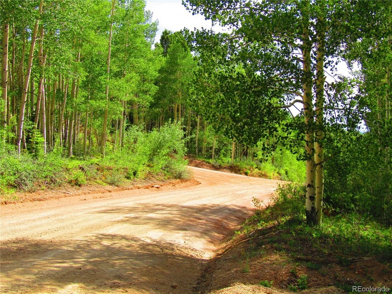 LOT 6093 Forbes Rd, San Luis, CO 81152