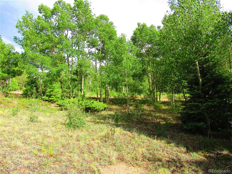 LOT 6093 Forbes Rd, San Luis, CO 81152