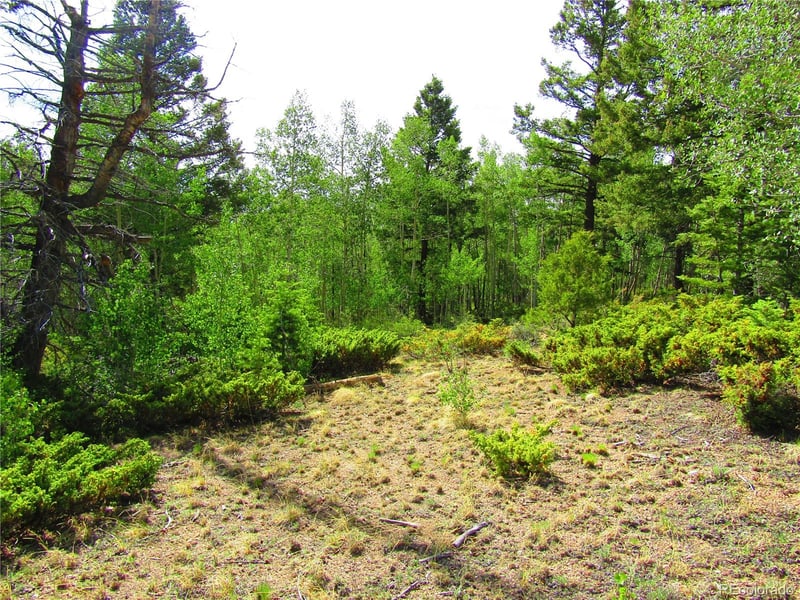 LOT 6093 Forbes Rd, San Luis, CO 81152