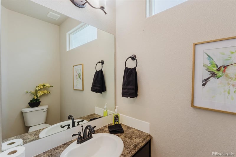1019 Mount Oxford Ave, Windsor, CO 80550