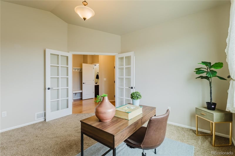 1019 Mount Oxford Ave, Windsor, CO 80550