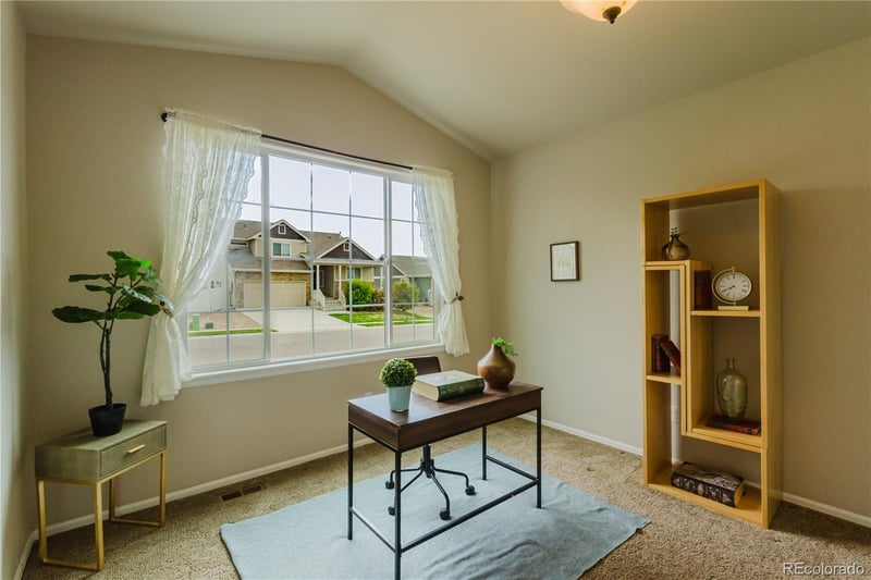 1019 Mount Oxford Ave, Windsor, CO 80550