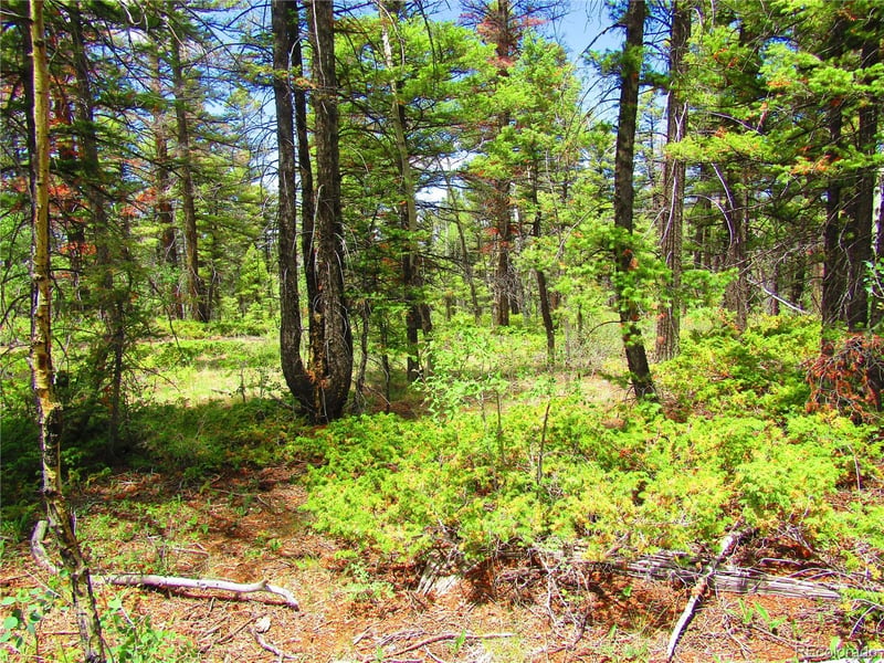 LOT 6082 Stella Rd, San Luis, CO 81152