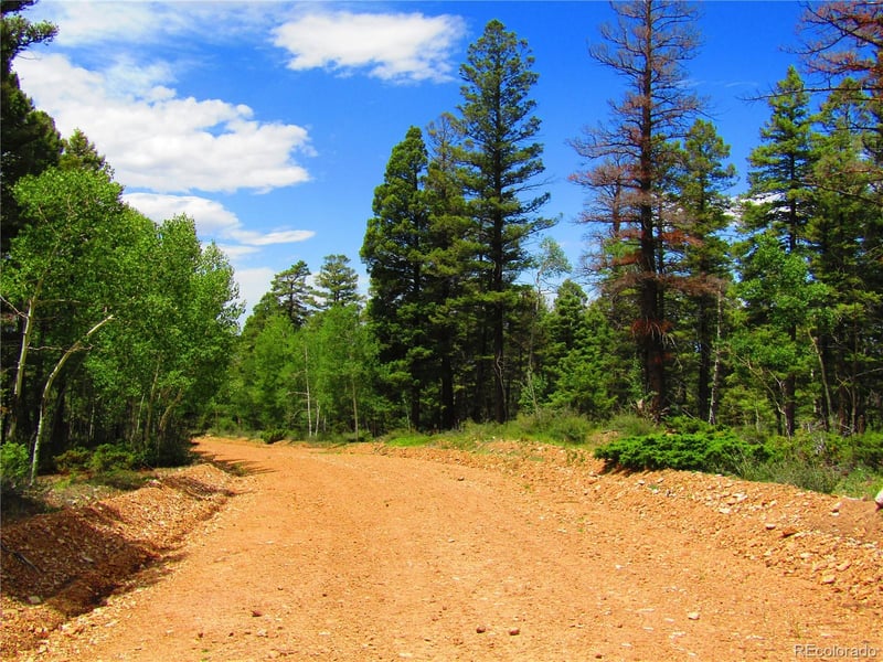 LOT 6082 Stella Rd, San Luis, CO 81152