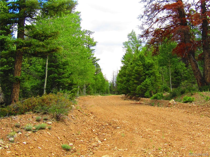 LOT 6079 Stella Rd, San Luis, CO 81152