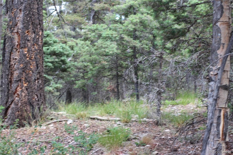 LOT 6077 Vreeland Rd, San Luis, CO 81152