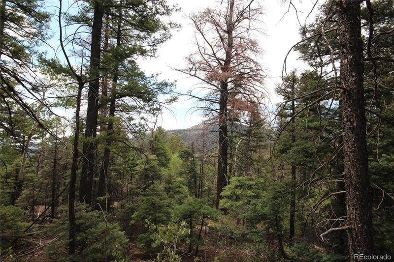 LOT 6077 Vreeland Rd, San Luis, CO 81152