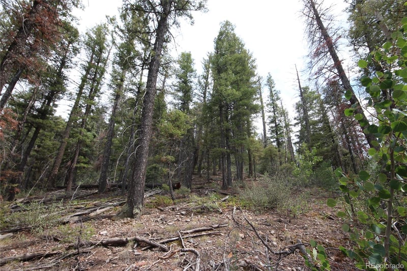 LOT 6077 Vreeland Rd, San Luis, CO 81152