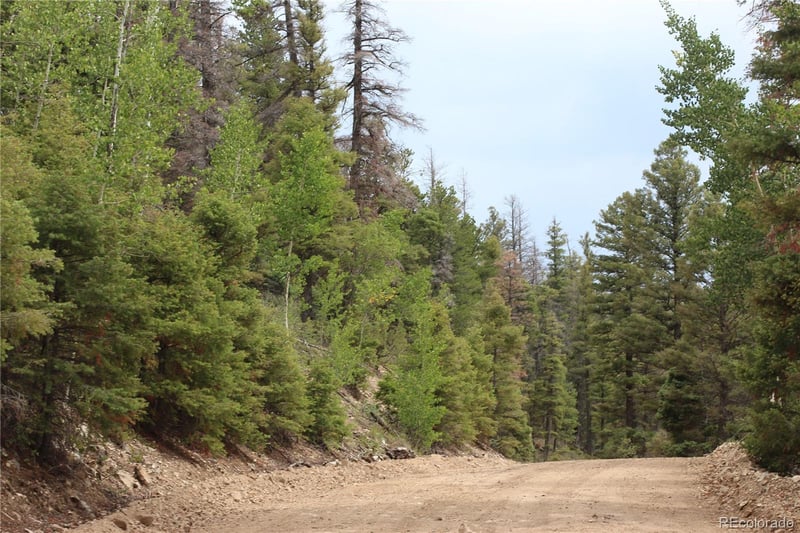 LOT 6077 Vreeland Rd, San Luis, CO 81152