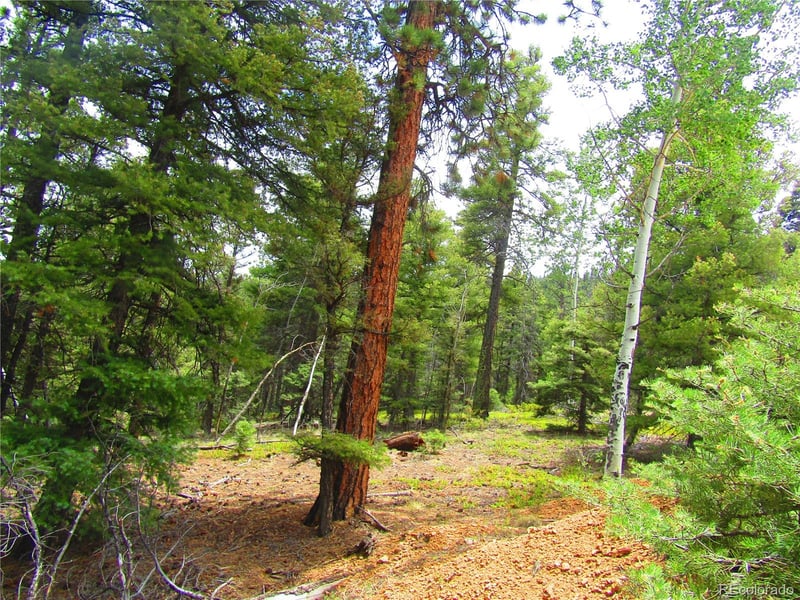 Lot 6028 Spruce Roads, San Luis, CO 81152