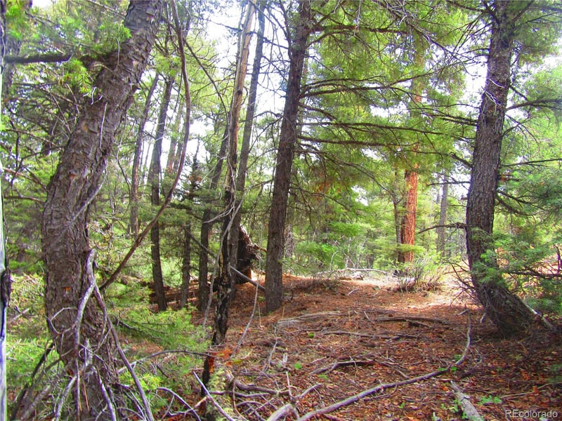 Lot 6028 Spruce Roads, San Luis, CO 81152