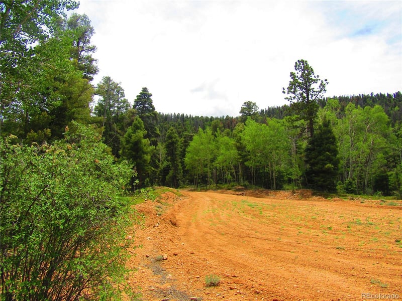 Lot 6028 Spruce Roads, San Luis, CO 81152