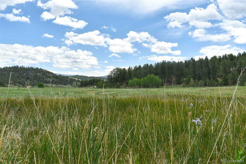 729 Valley Dr, Guffey, CO 80820