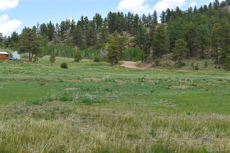 729 Valley Dr, Guffey, CO 80820