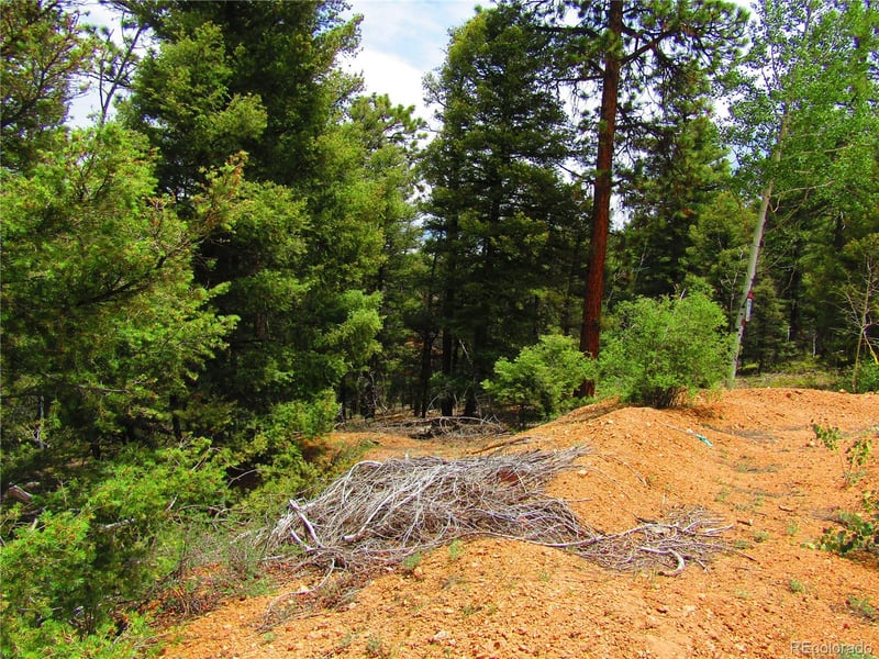 LOT 6029 Spruce Rd, San Luis, CO 81152