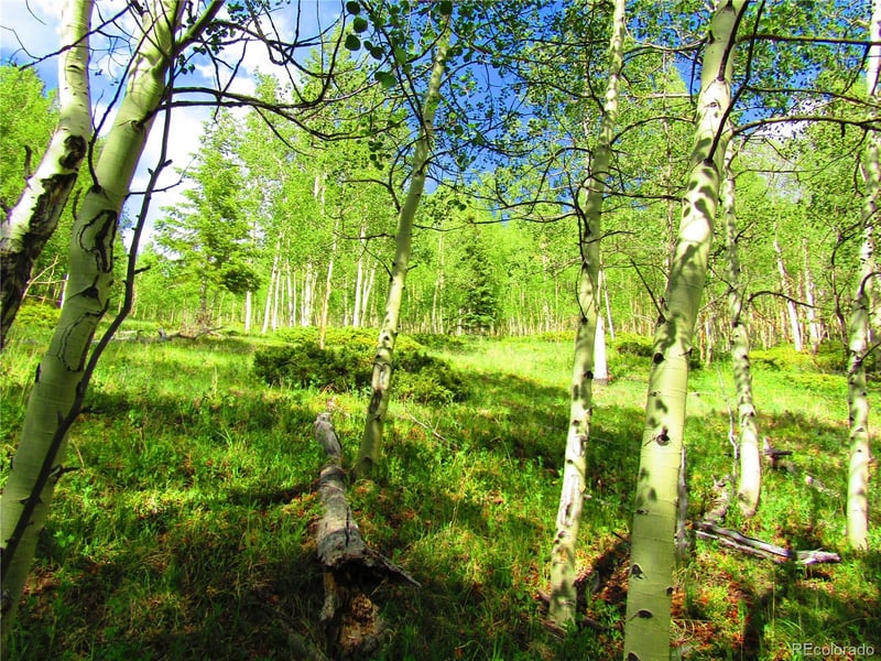 Lot 6427 Laffin Rd, San Luis, CO 81132