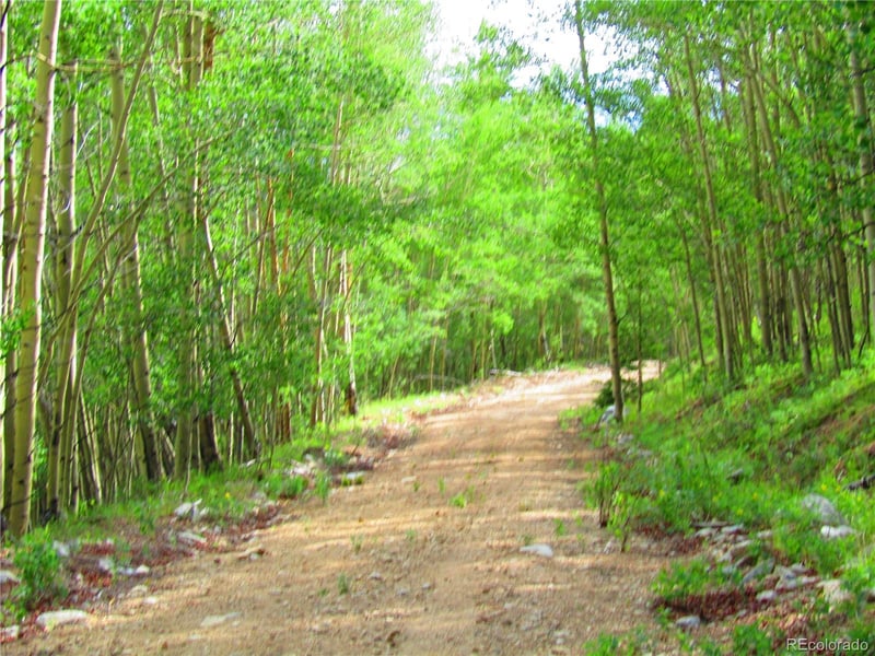 Lot 6427 Laffin Rd, San Luis, CO 81132