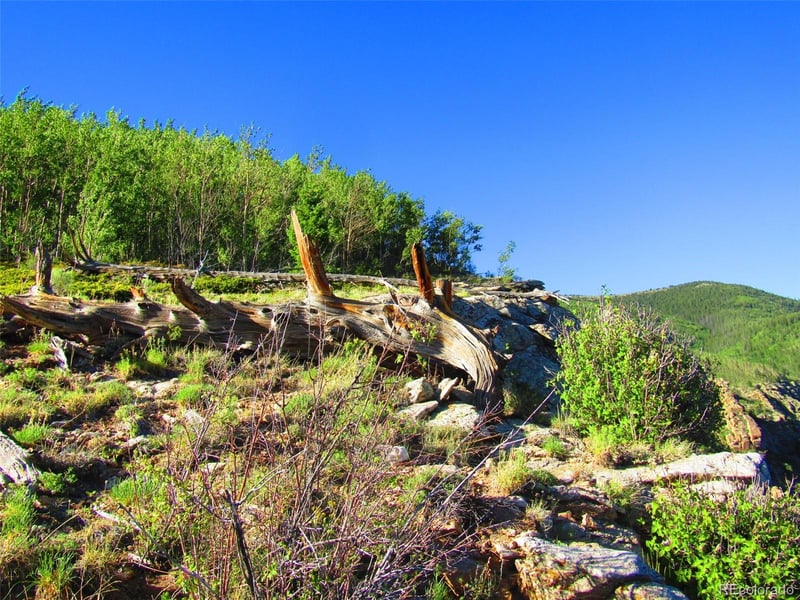 Lot 6427 Laffin Rd, San Luis, CO 81152