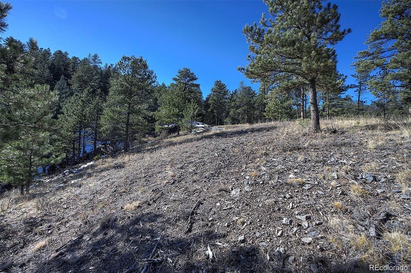 6 Turret Peak Trl Lot 6, Pine, CO 80470