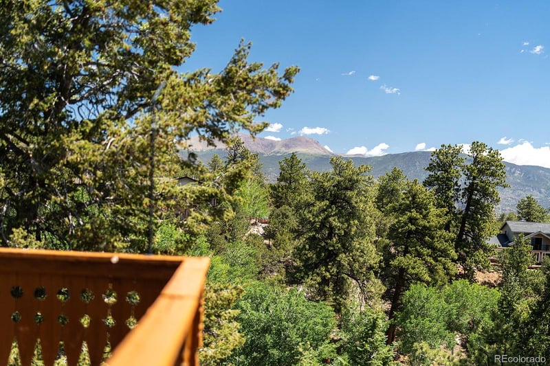 18525 Via Ponderosa Dr, Buena Vista, CO 81211