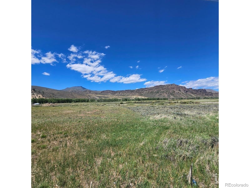 Cedar , Hot Sulphur Springs, CO 80451