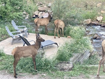 27154 Highway 74, Evergreen, CO 80439