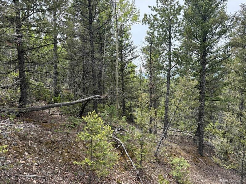 Lot 6795 Starkweather Rd Lot 6795, Fort Garland, CO 81133