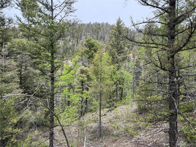 Lot 6795 Starkweather Rd Lot 6795, Fort Garland, CO 81133