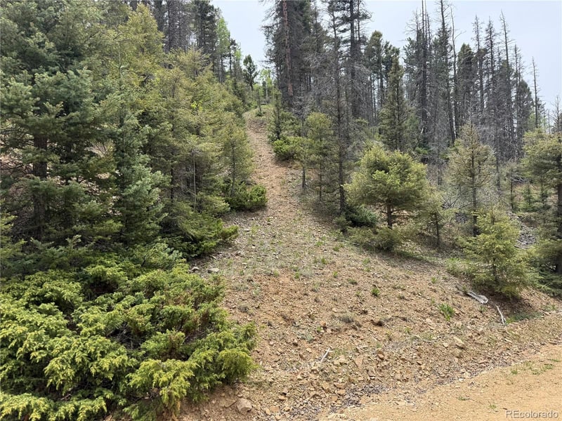 Lot 6795 Starkweather Rd Lot 6795, Fort Garland, CO 81133