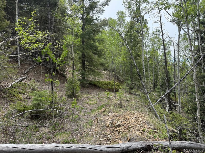 Lot 6795 Starkweather Rd Lot 6795, Fort Garland, CO 81133