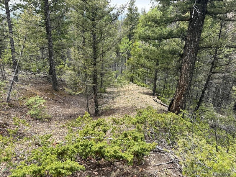 Lot 6795 Starkweather Rd Lot 6795, Fort Garland, CO 81133