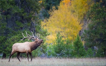 5191 S Hatch Dr, Evergreen, CO 80439