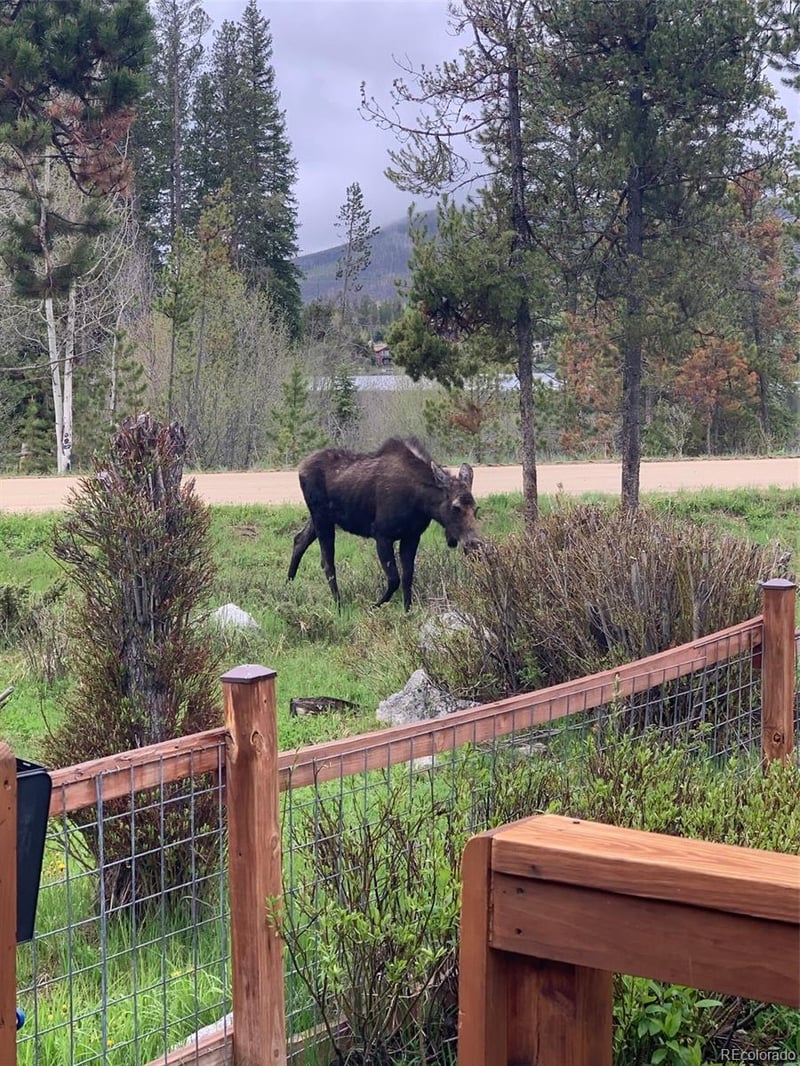 1384 Gcr 494 , Grand Lake, CO 80447