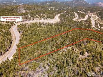 1199 Brainard Lake Rd, Ward, CO 80481