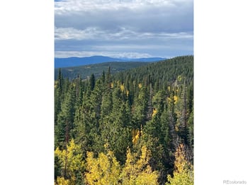 1199 Brainard Lake Rd, Ward, CO 80481
