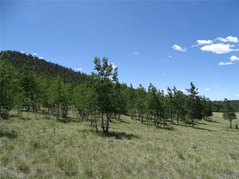 782 Bowstring Rd Lot 038, Como, CO 80432