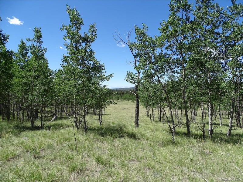 782 Bowstring Rd Lot 038, Como, CO 80432