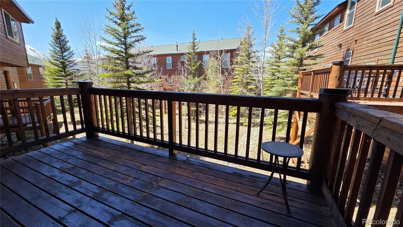 53 Skyline Dr, Dillon, CO 80435