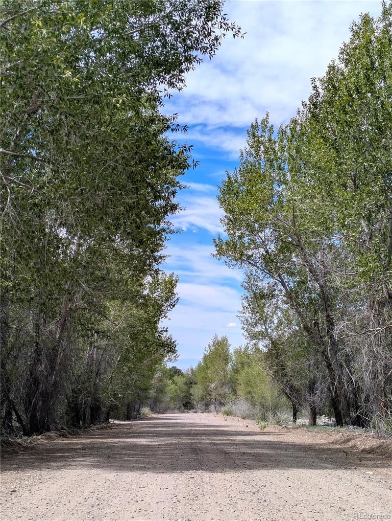 3825 Virtue Way, Crestone, CO 81131