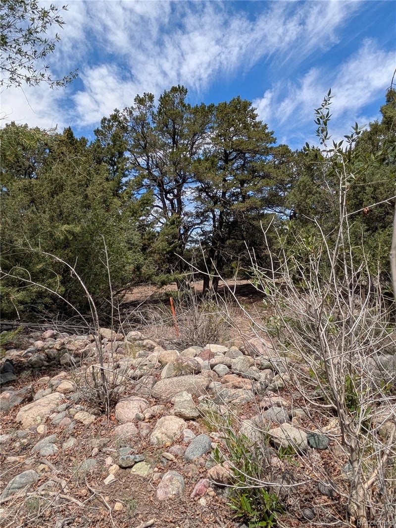 3825 Virtue Way, Crestone, CO 81131