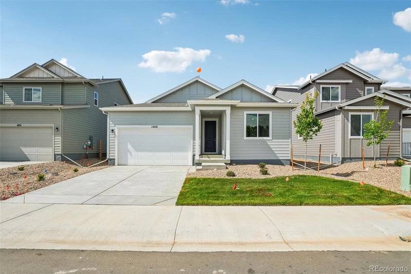 1466 Boyle St, Windsor, CO 80550