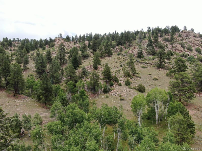 76 Crocus Cir, Florissant, CO 80816