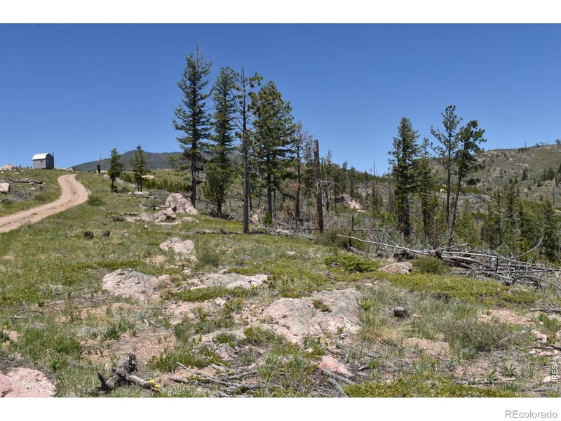 1989 Spencer Mountain Rd, Bellvue, CO 80512