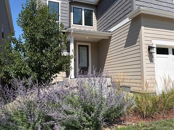 8989 Bellsong Dr, Littleton, CO 80125