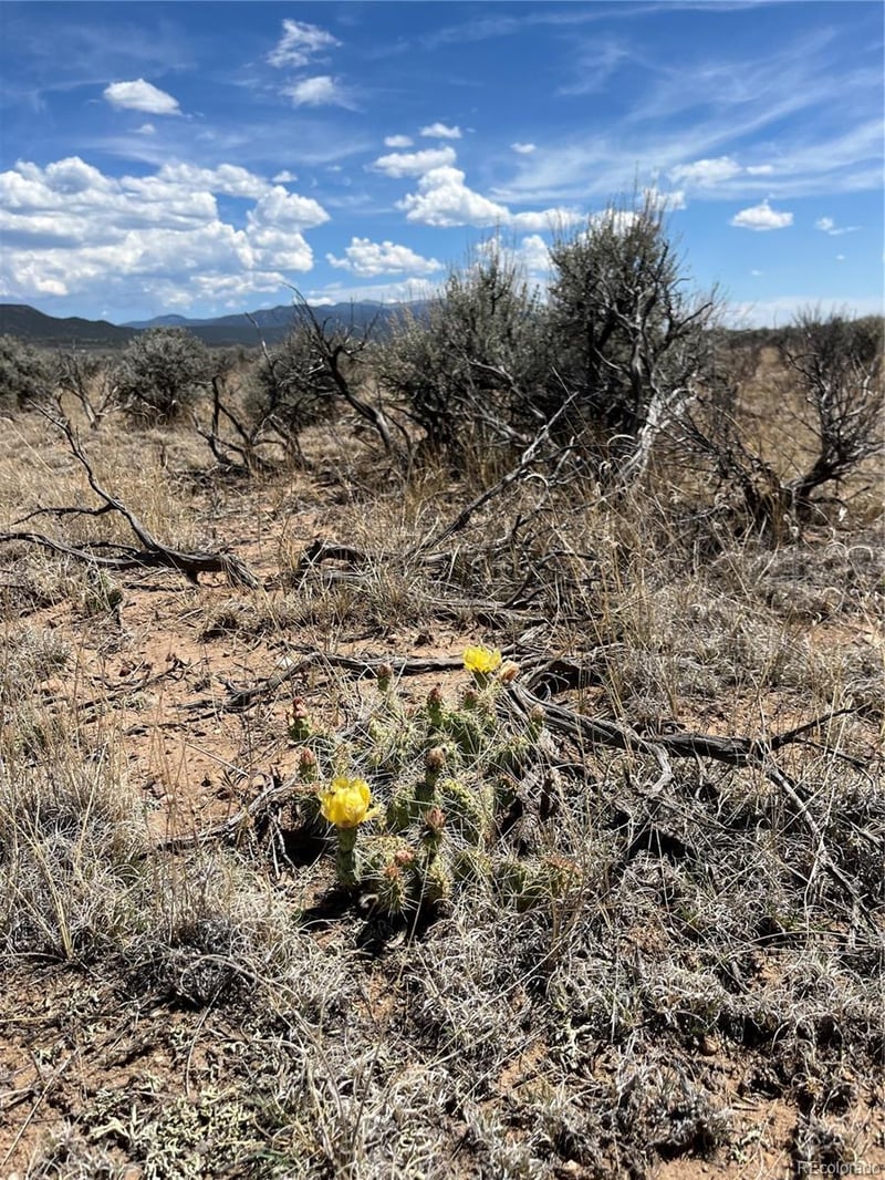 20 Acres Peacock Rd, San Luis, CO 81152