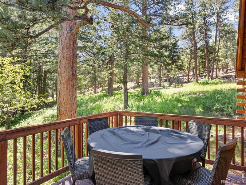 1062 Ramshorn Rd, Estes Park, CO 80517