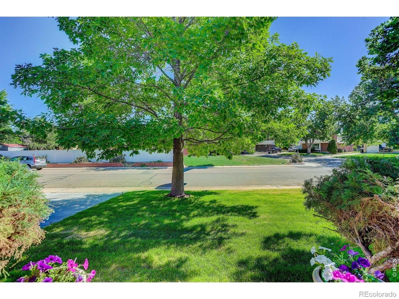 1431 Magnolia Way, Denver, CO 80224