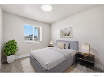 1751 Avery Plaza St, Severance, CO 80550