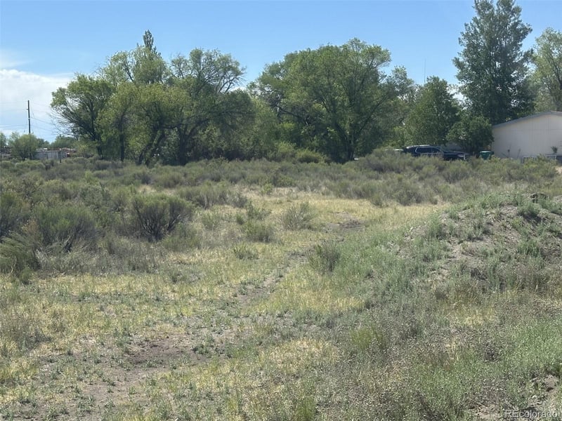 Mckinney/white Pine, Alamosa, CO 81101